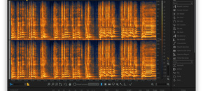 Rx 6 standard editor view pluginboutique