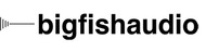 Bigfish newnew